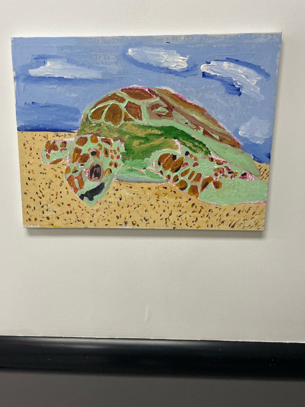 Turtle Resting
